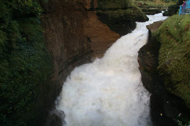 India & Nepal 2011 - 0470